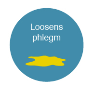 Loosens phlegm