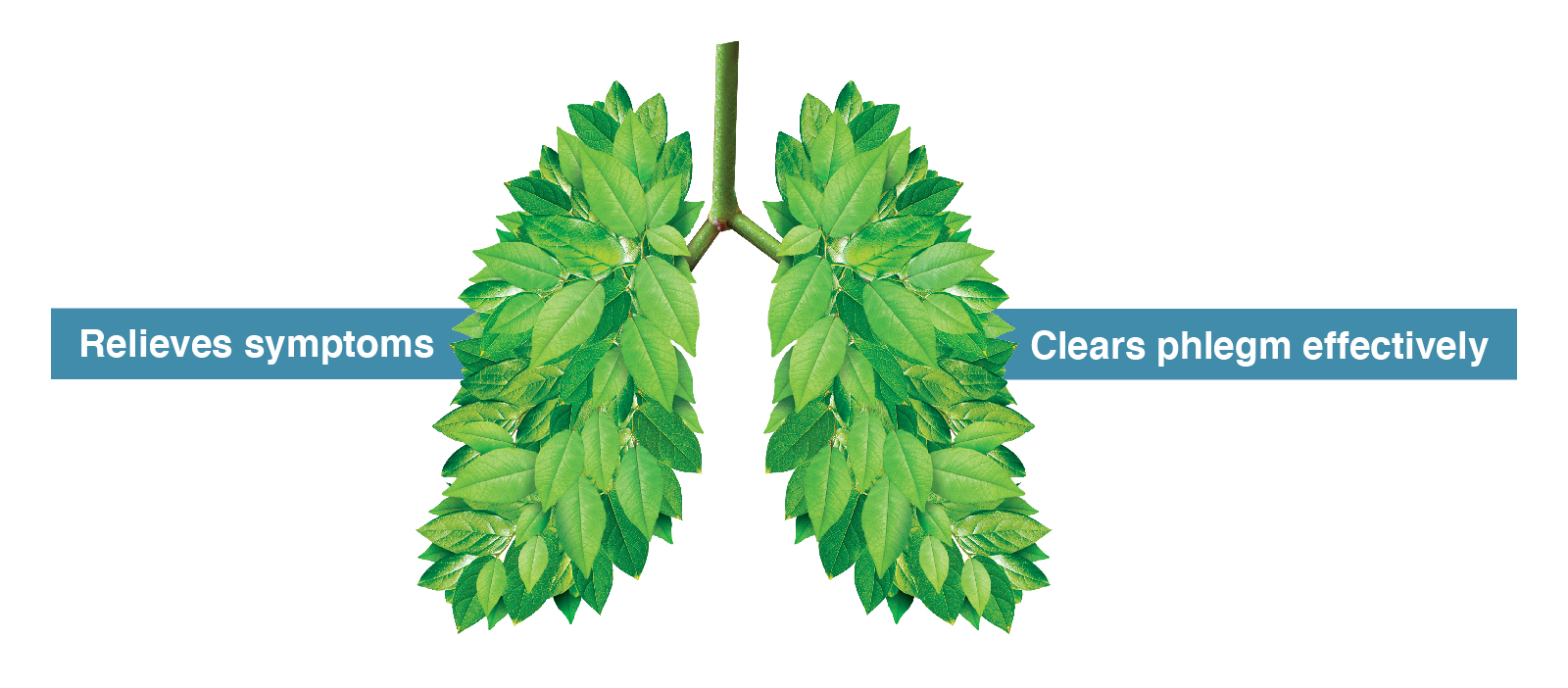 Fluimucil green leafy lung